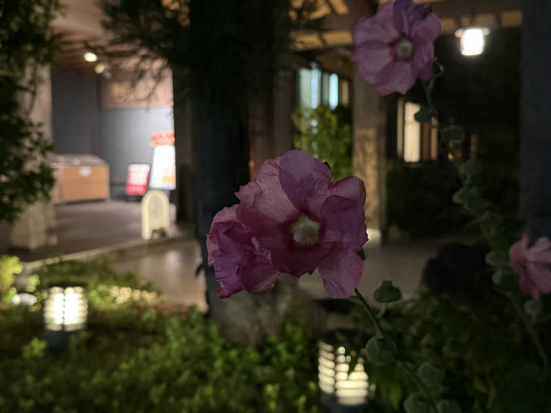 ta-jingさんのおふろの王様 志木店のサ活写真
