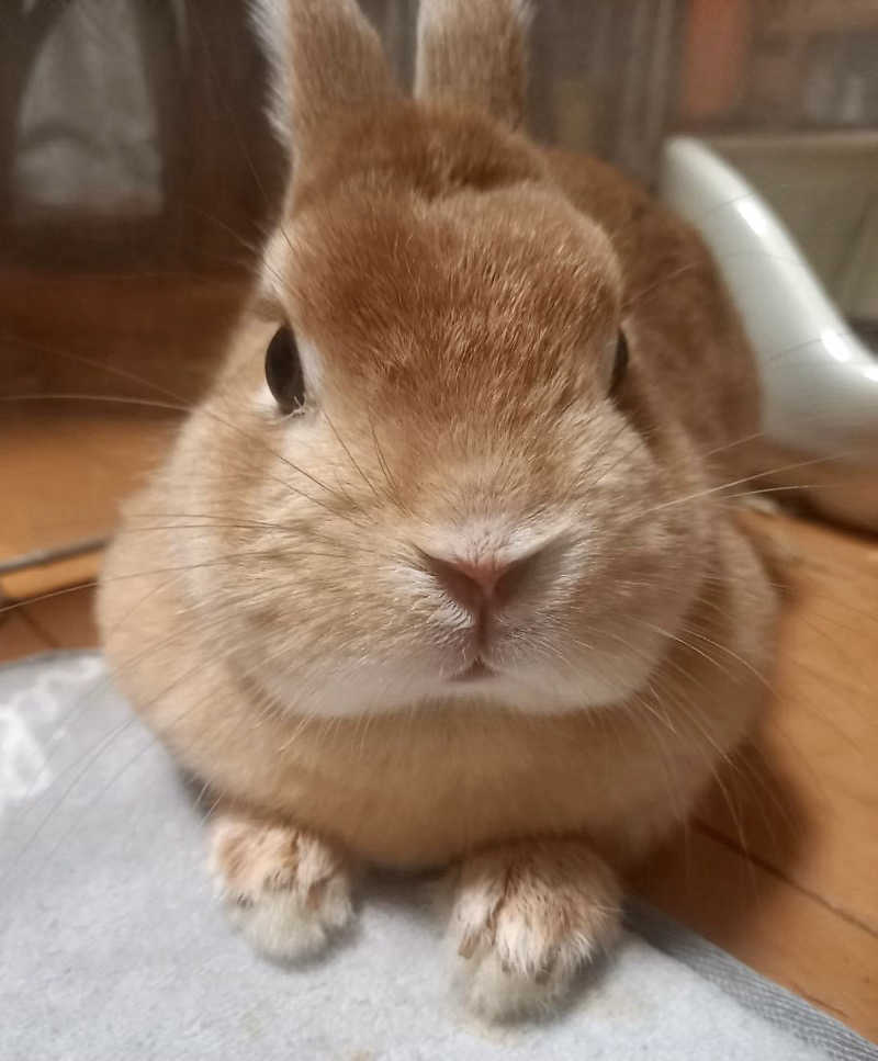 ta-jingさんのおふろの王様 志木店のサ活写真