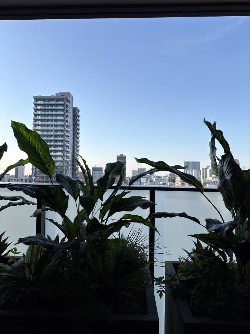 北野にわかさんのFAV LUX 札幌すすきののサ活写真