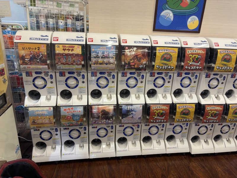 マイナー施設コレクターさんの湯乃泉 草加健康センターのサ活写真