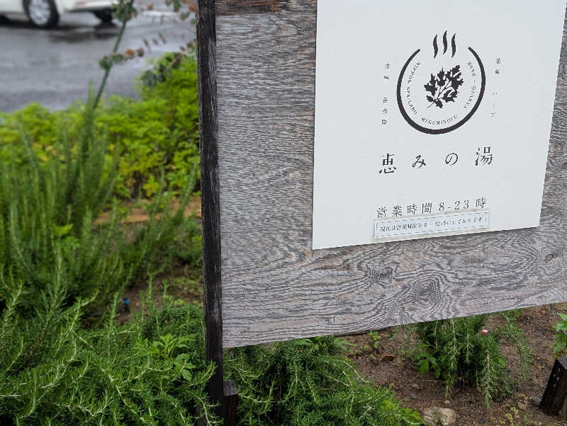 ののさんの岐阜各務原 恵みの湯のサ活写真