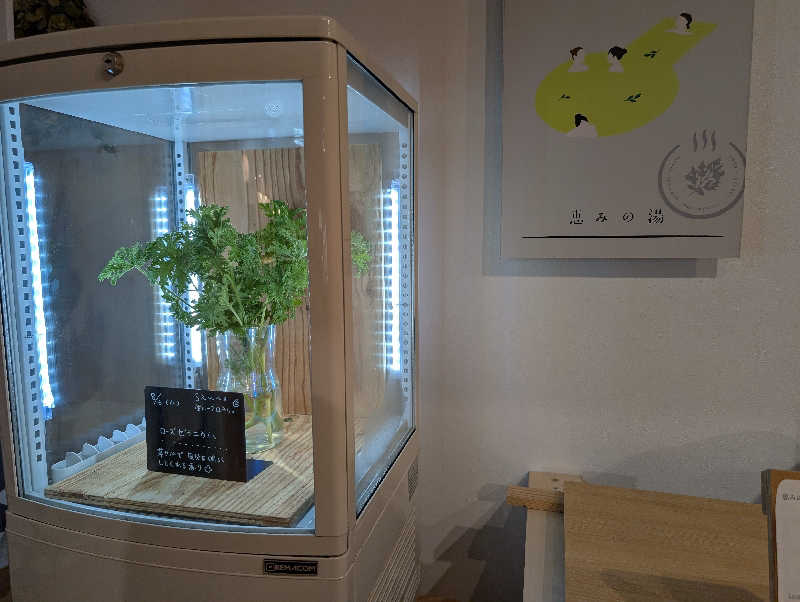 ののさんの岐阜各務原 恵みの湯のサ活写真