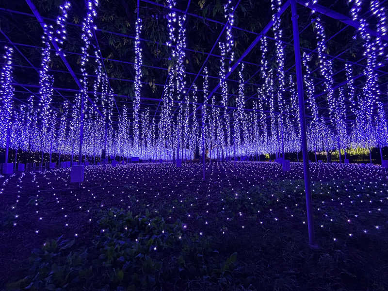 ごまごまあざらしさんのカンデオホテルズ佐野のサ活写真