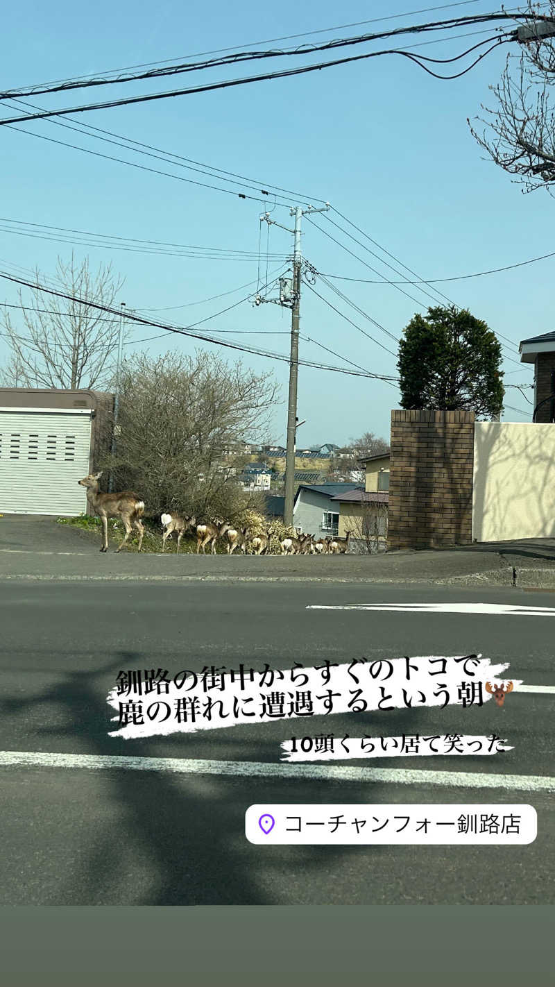 コンサポのホンダ（野良サウナー）さんの天然温泉 大喜湯春採店のサ活写真