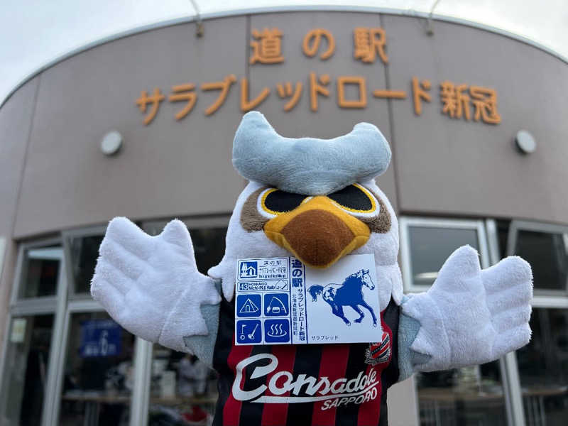 コンサポのホンダ（野良サウナー）さんのJOYFIT札幌北14条光星のサ活写真