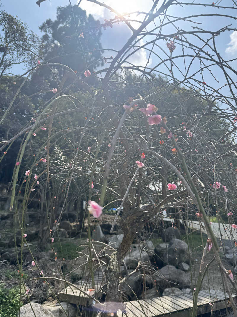 サウナーゆづの助さんの体験型サウナ Uのサ活写真