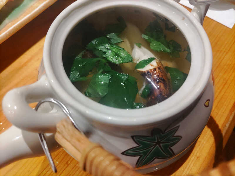 とんちきさんの恵びす温泉のサ活写真