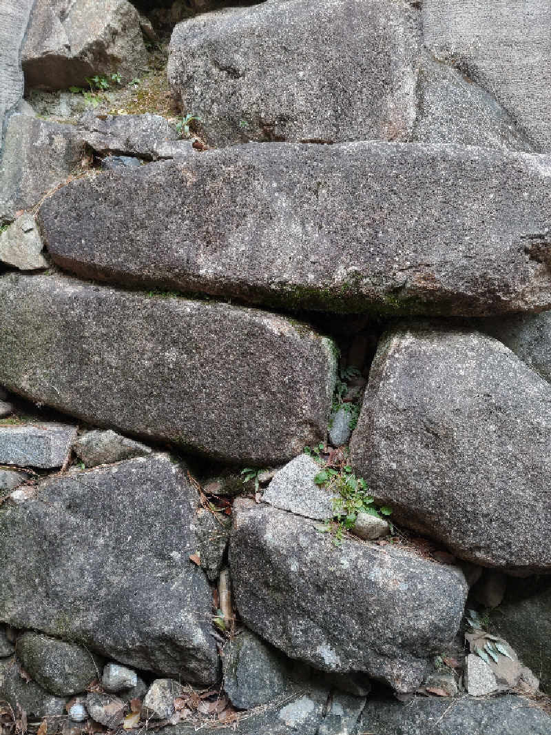 とんちきさんのSPAWORLD HOTEL&RESORTのサ活写真