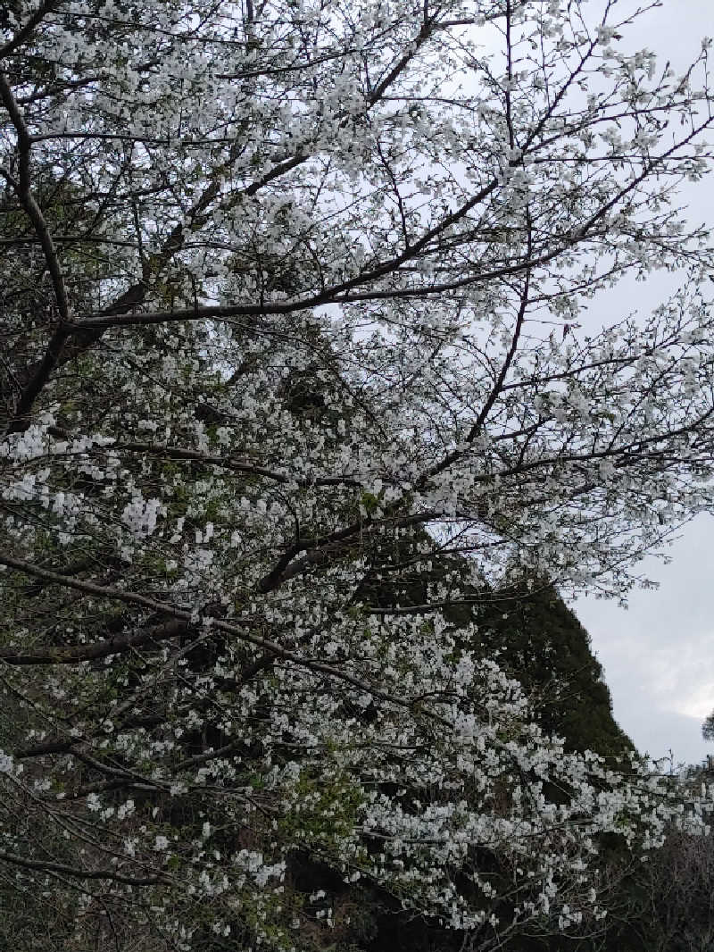 まっつんさんの皇子原温泉のサ活写真