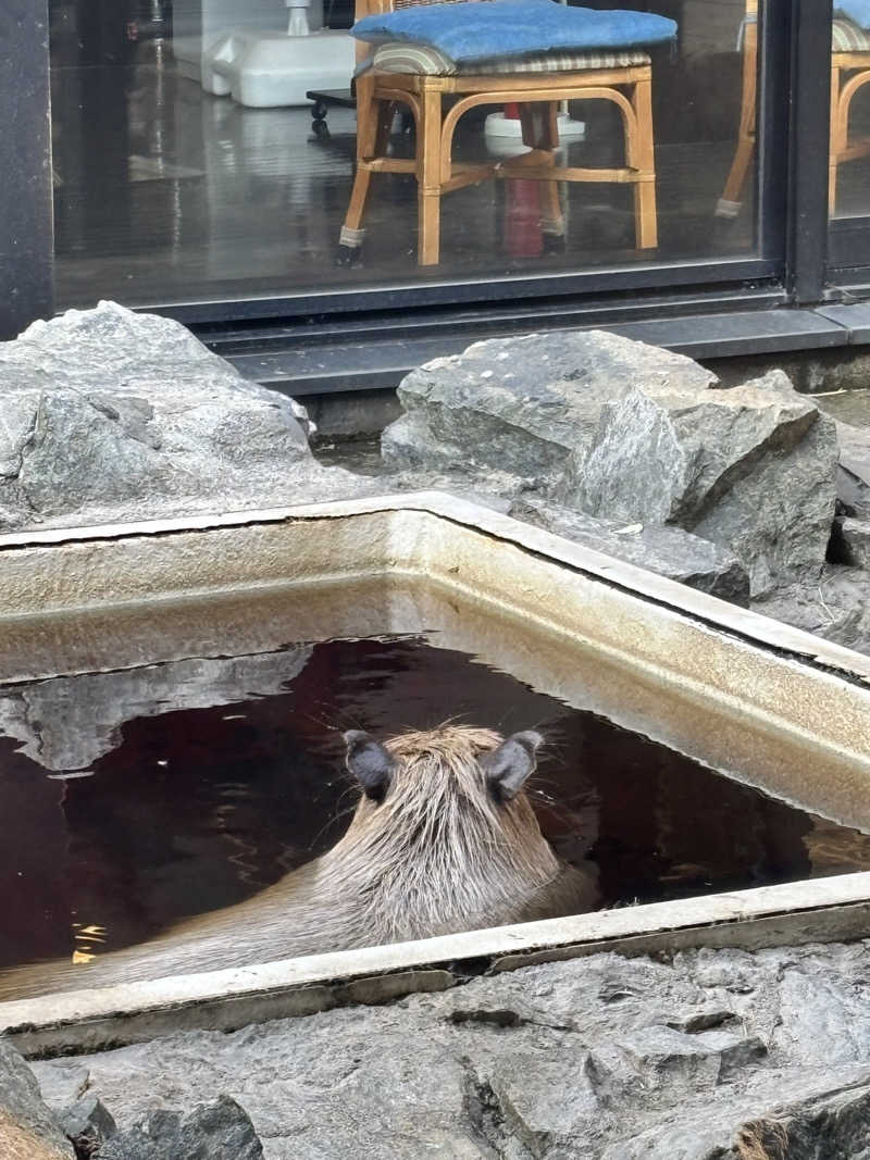 🥒さんの石狩天然温泉 番屋の湯のサ活写真