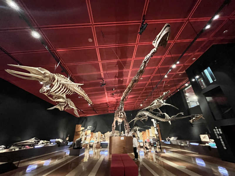 ときびとさんのカプセルホテル サウナ&大浴場 リフレ いわき駅前店のサ活写真