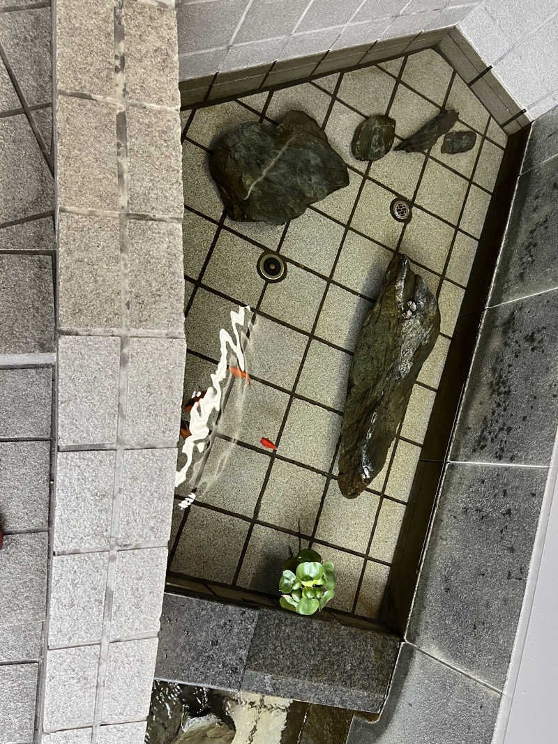 5代目お風呂星人さんのぽかぽか温泉 新守山乃湯のサ活写真