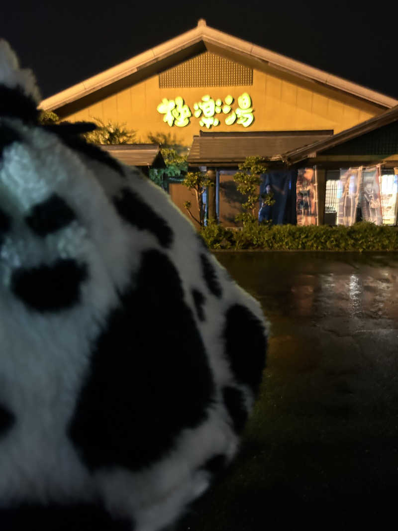 ぼいころりんさんの極楽湯 豊橋店のサ活写真