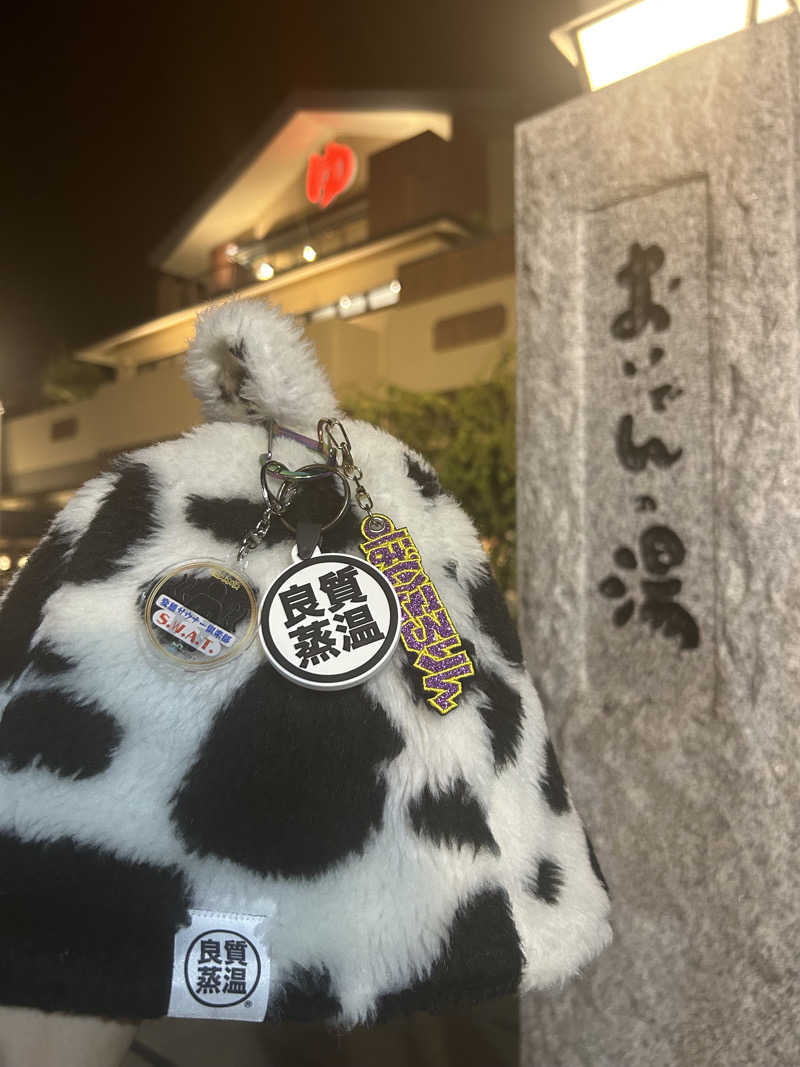 ぼいころりんさんの豊田挙母温泉 おいでんの湯のサ活写真