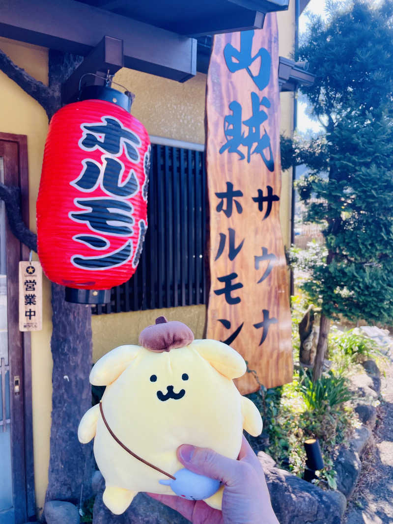 ひとし@HITOSHIさんの山賊サウナのサ活写真