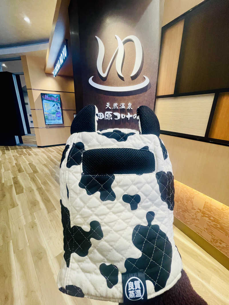 ひとし@HITOSHIさんの天然温泉 小田原コロナの湯のサ活写真