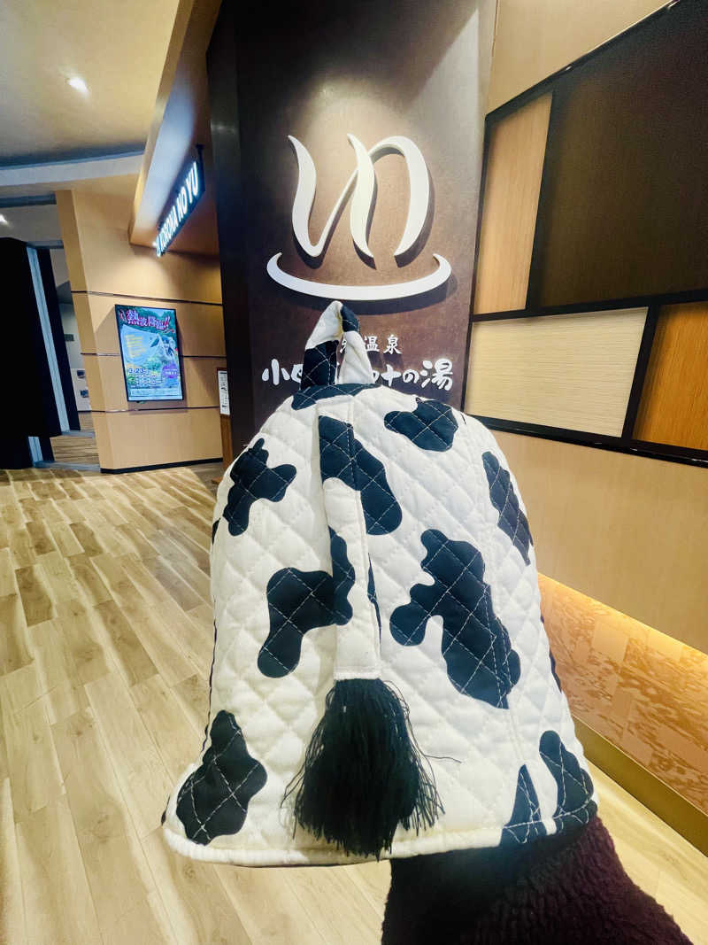 ひとし@HITOSHIさんの天然温泉 小田原コロナの湯のサ活写真