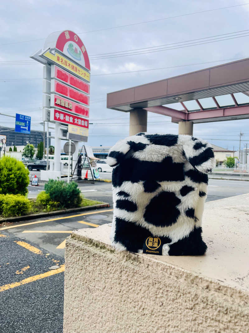 ひとし@HITOSHIさんの湯乃泉 東名厚木健康センターのサ活写真