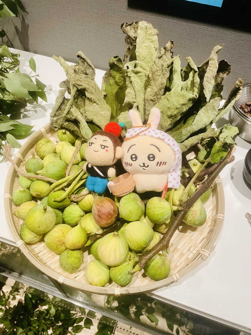 ひとし@HITOSHIさんの山賊サウナのサ活写真