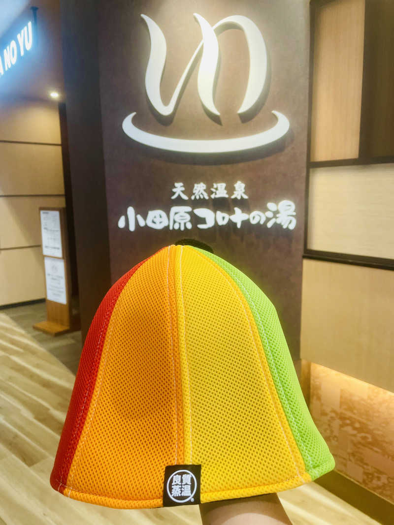 ひとし@HITOSHIさんの天然温泉 小田原コロナの湯のサ活写真