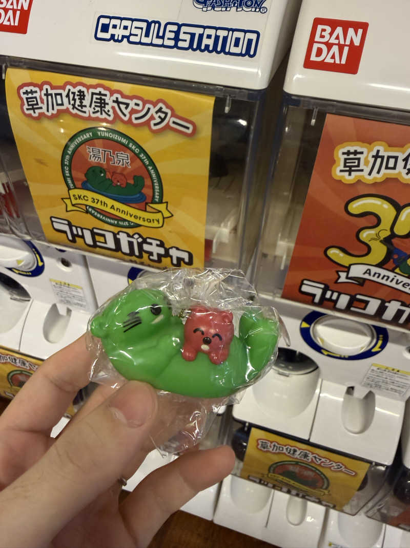 ととのいラッコ トミーさんの湯乃泉 草加健康センターのサ活写真