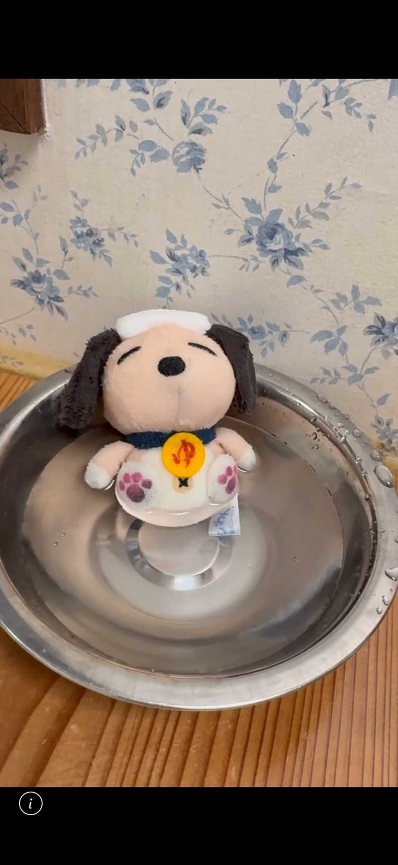 ととのいラッコ トミーさんの舟橋・立山天然温泉 湯めごこちのサ活写真