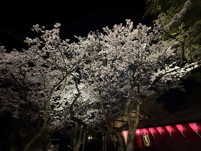 ととのいラッコ トミーさんの満天の湯 富山店のサ活写真