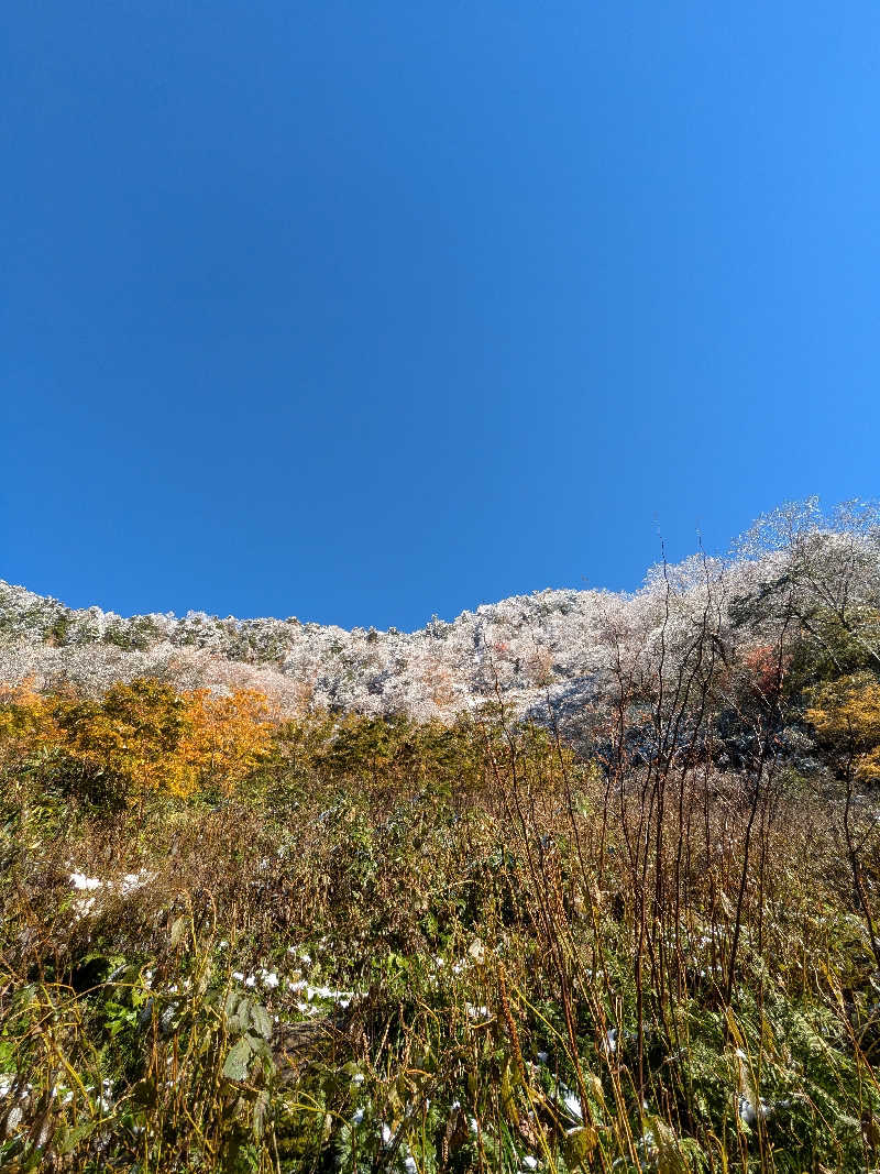 サウナでyumeを見るさんのグリーンパーク吉峰・ゆーランドのサ活写真