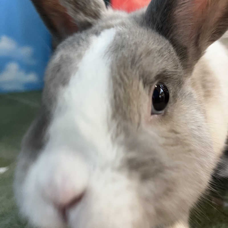 蒸婆さんのアクアリゾート 岐阜ふじの湯のサ活写真