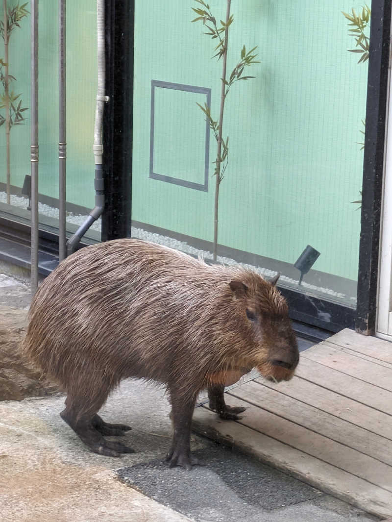 蘭さんの石狩天然温泉 番屋の湯のサ活写真