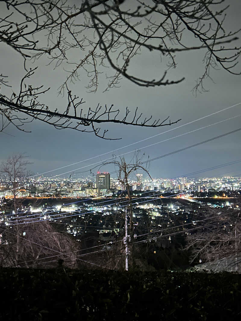 かねごりさんの観音山サウナ蒸寺のサ活写真