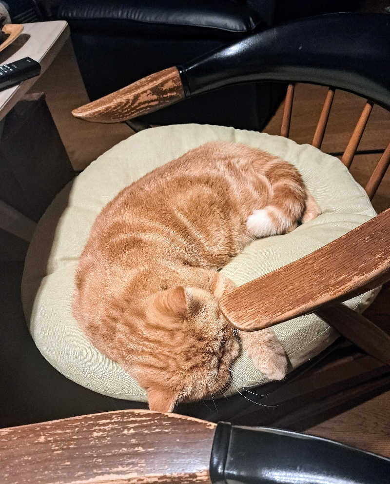 さ*うなこさんの櫛引温泉 ゆ〜Townのサ活写真