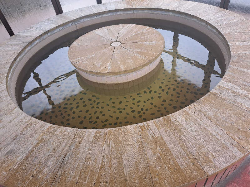 さ*うなこさんの鳥海温泉保養センターあぽん西浜のサ活写真