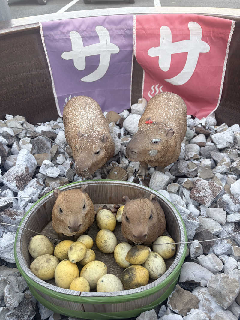 グイさんの富士山天然水SPA サウナ鷹の湯のサ活写真