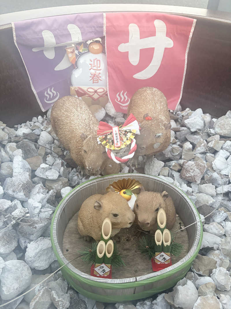 グイさんの富士山天然水SPA サウナ鷹の湯のサ活写真