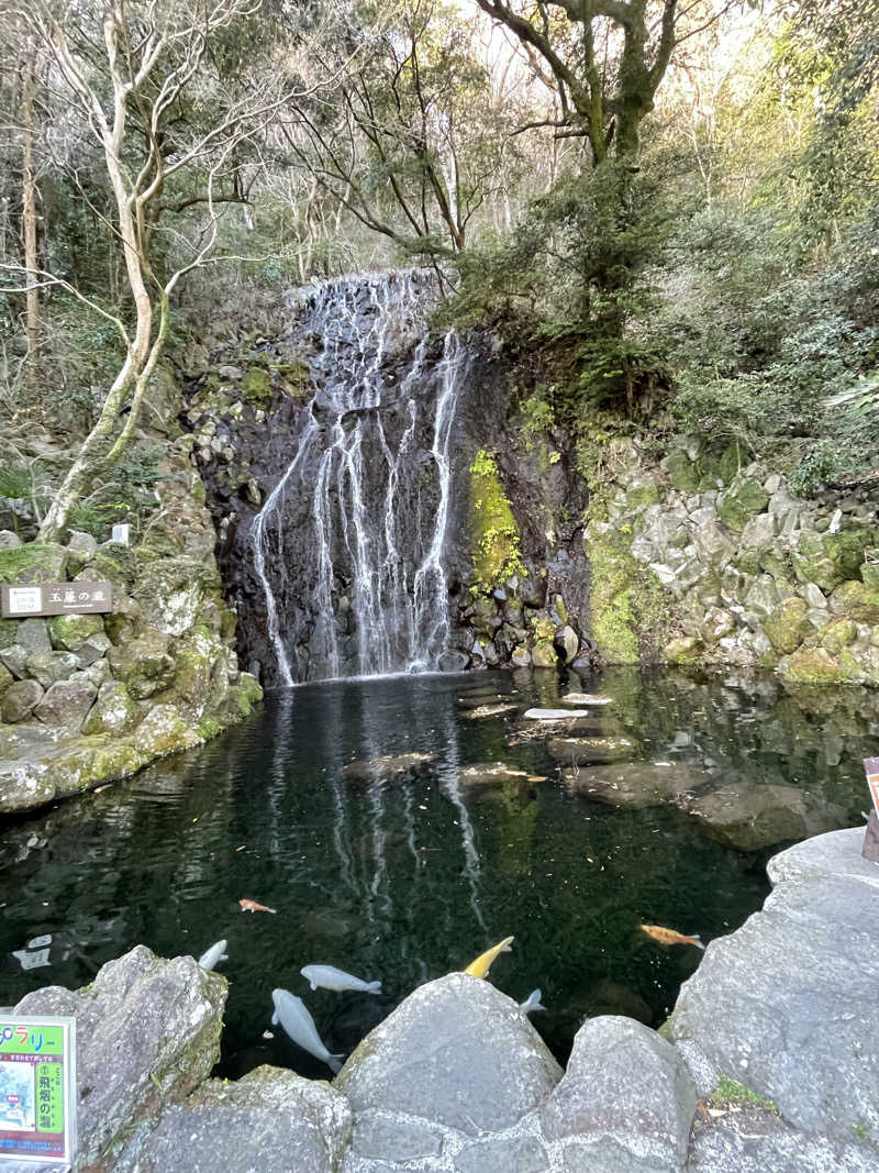 8bey3さんの箱根湯本温泉 天成園のサ活写真