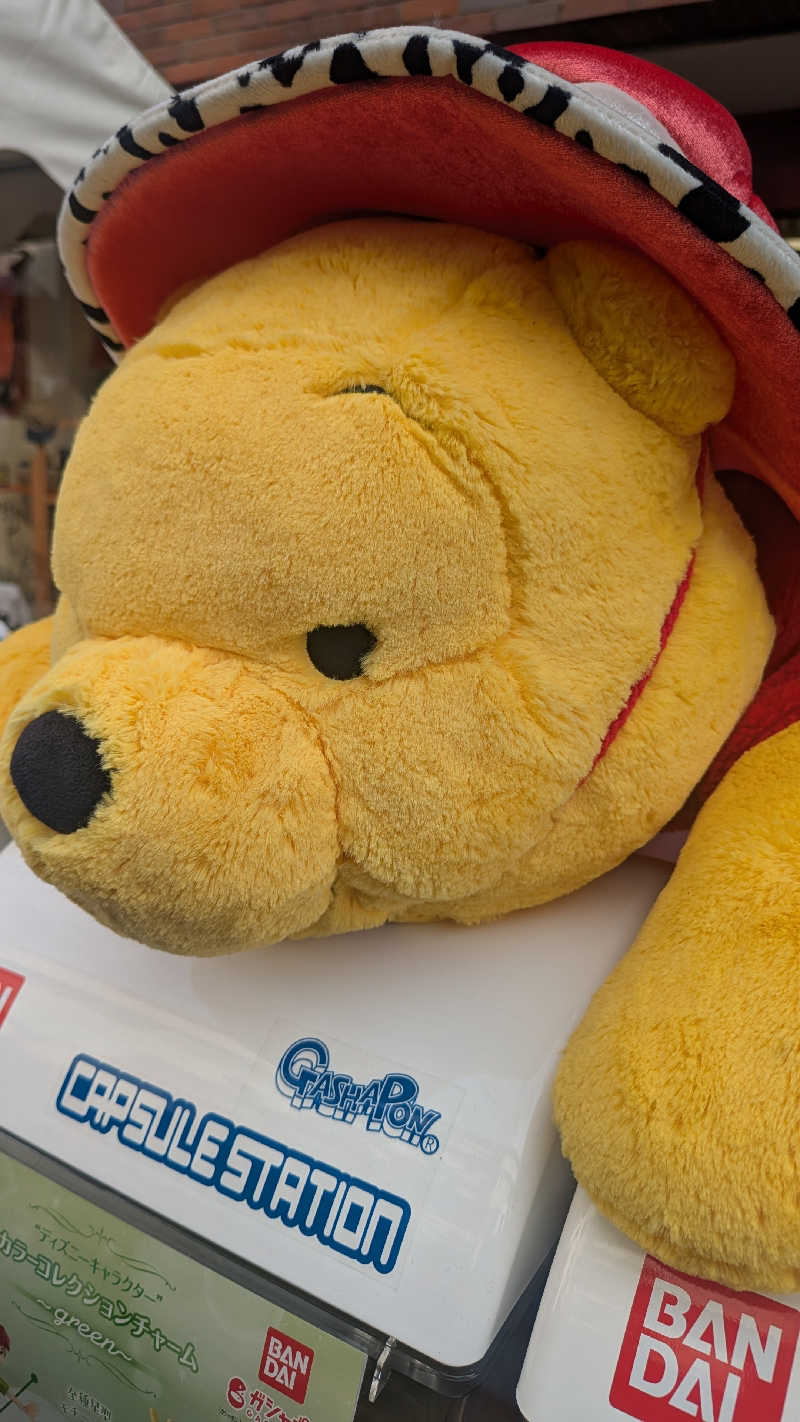 iwanovuさんの辰巳湯のサ活写真