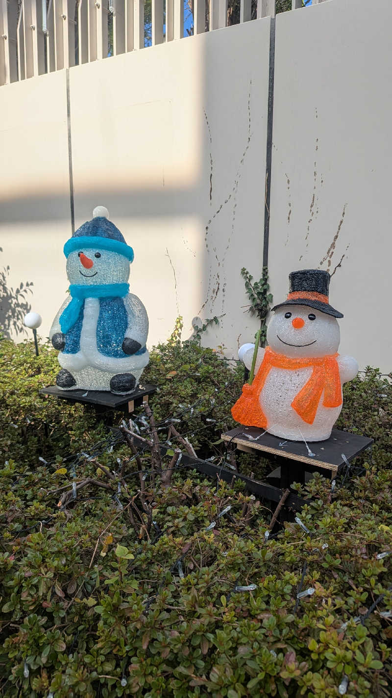 iwanovuさんの練馬湯遊邸 松の湯のサ活写真