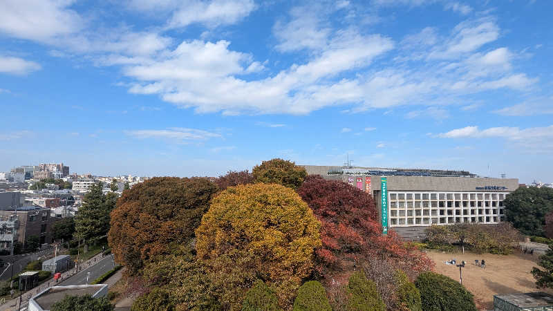iwanovuさんの練馬湯遊邸 松の湯のサ活写真