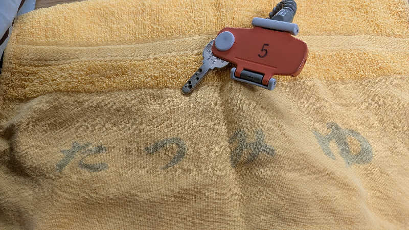 iwanovuさんの辰巳湯のサ活写真