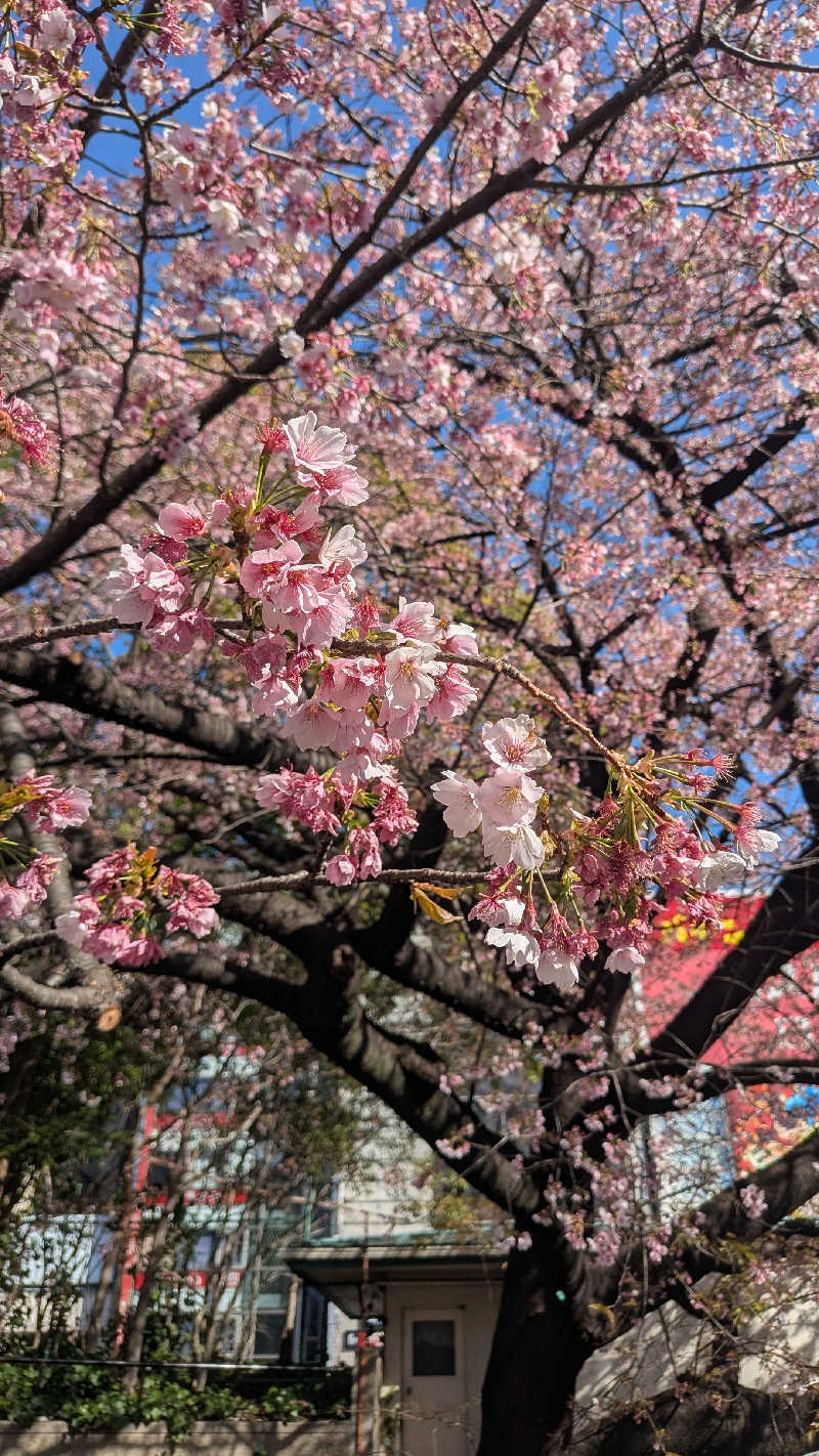 iwanovuさんの徒士の湯 ドーミーイン上野・御徒町のサ活写真