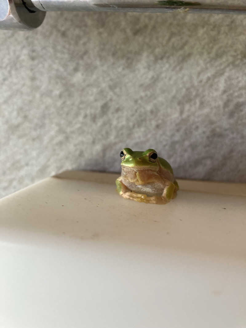 ありくろさんのTHE TANADA SAUNAのサ活写真