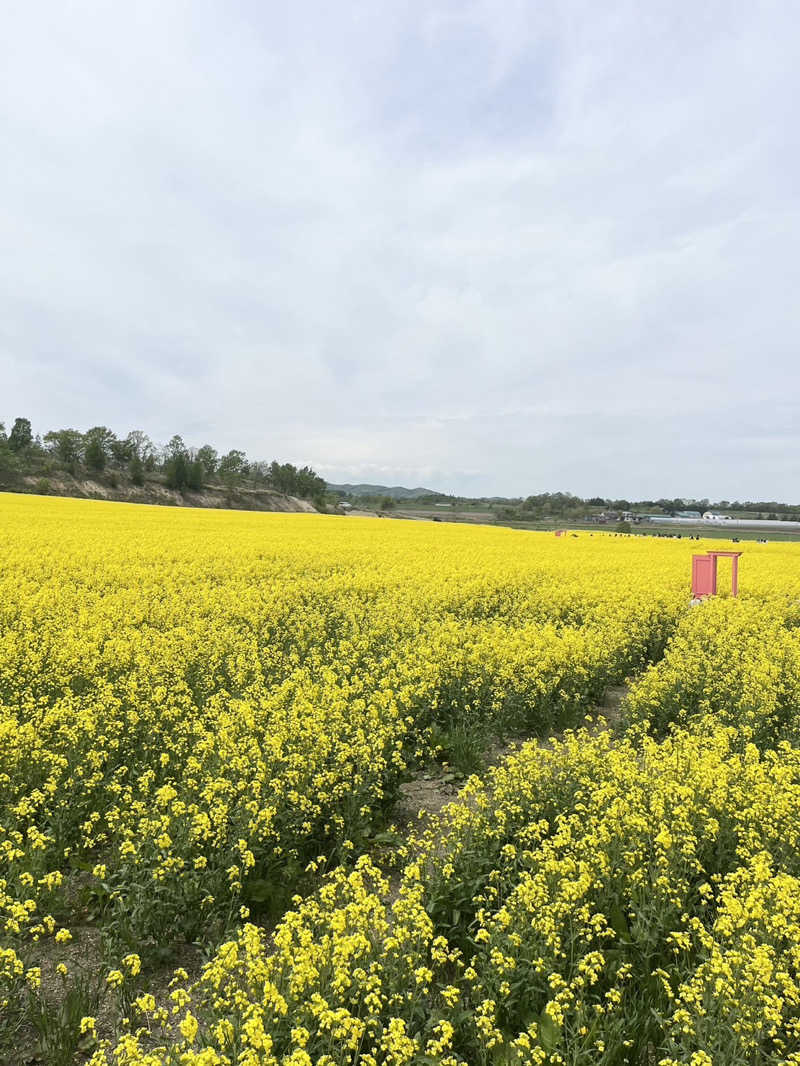 おやじぃIIさんの安平町ぬくもりの湯のサ活写真
