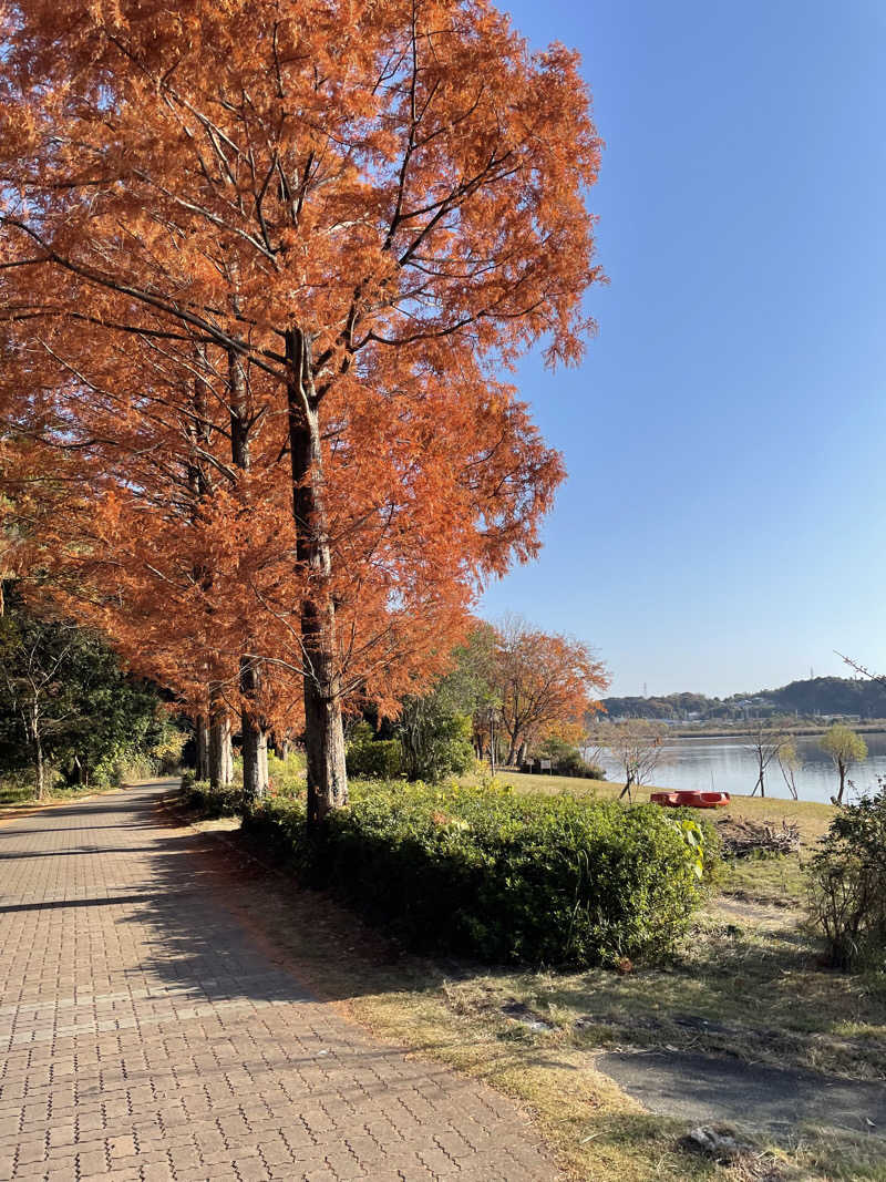 あやんちゃんさんの湯風景しおりのサ活写真