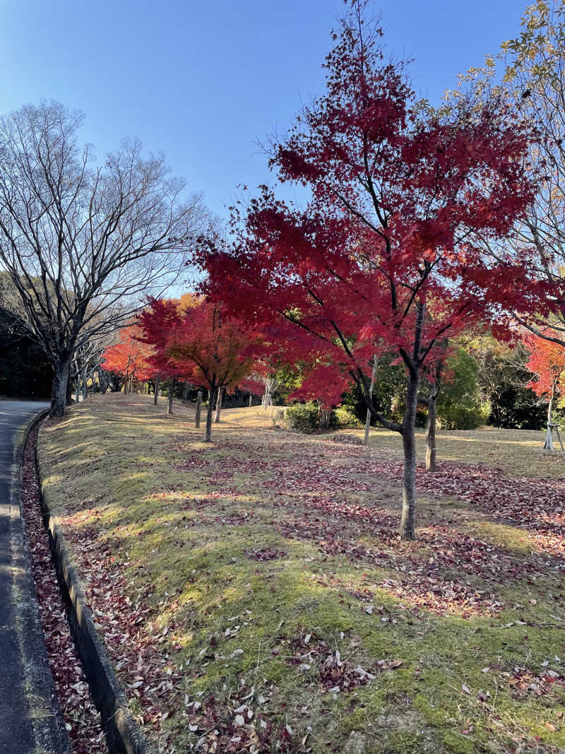 あやんちゃんさんの湯風景しおりのサ活写真