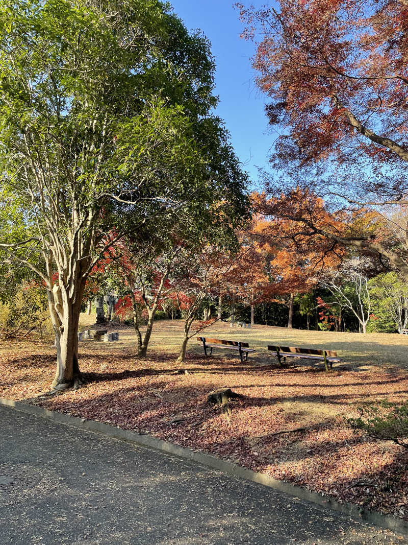 あやんちゃんさんの湯風景しおりのサ活写真
