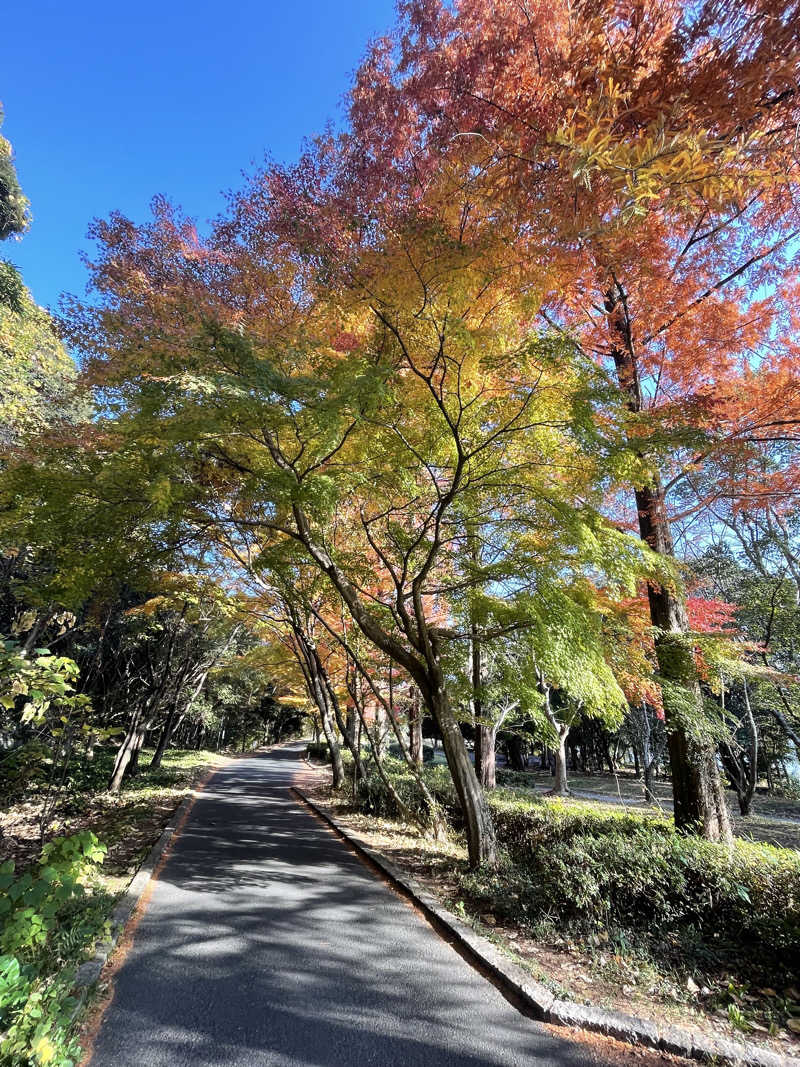 あやんちゃんさんの湯風景しおりのサ活写真