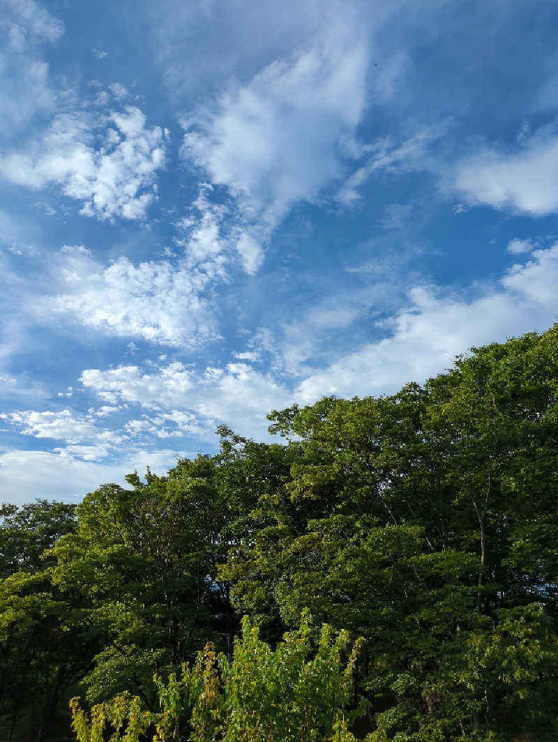 ゆーさくさんの裾花峡天然温泉宿 うるおい館のサ活写真