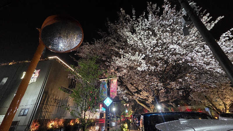 satoshiさんの温泉バルコニー キング&クイーンのサ活写真