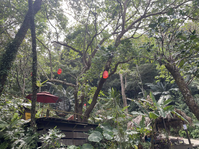 singha.sabaさんの亜熱帯サウナのサ活写真